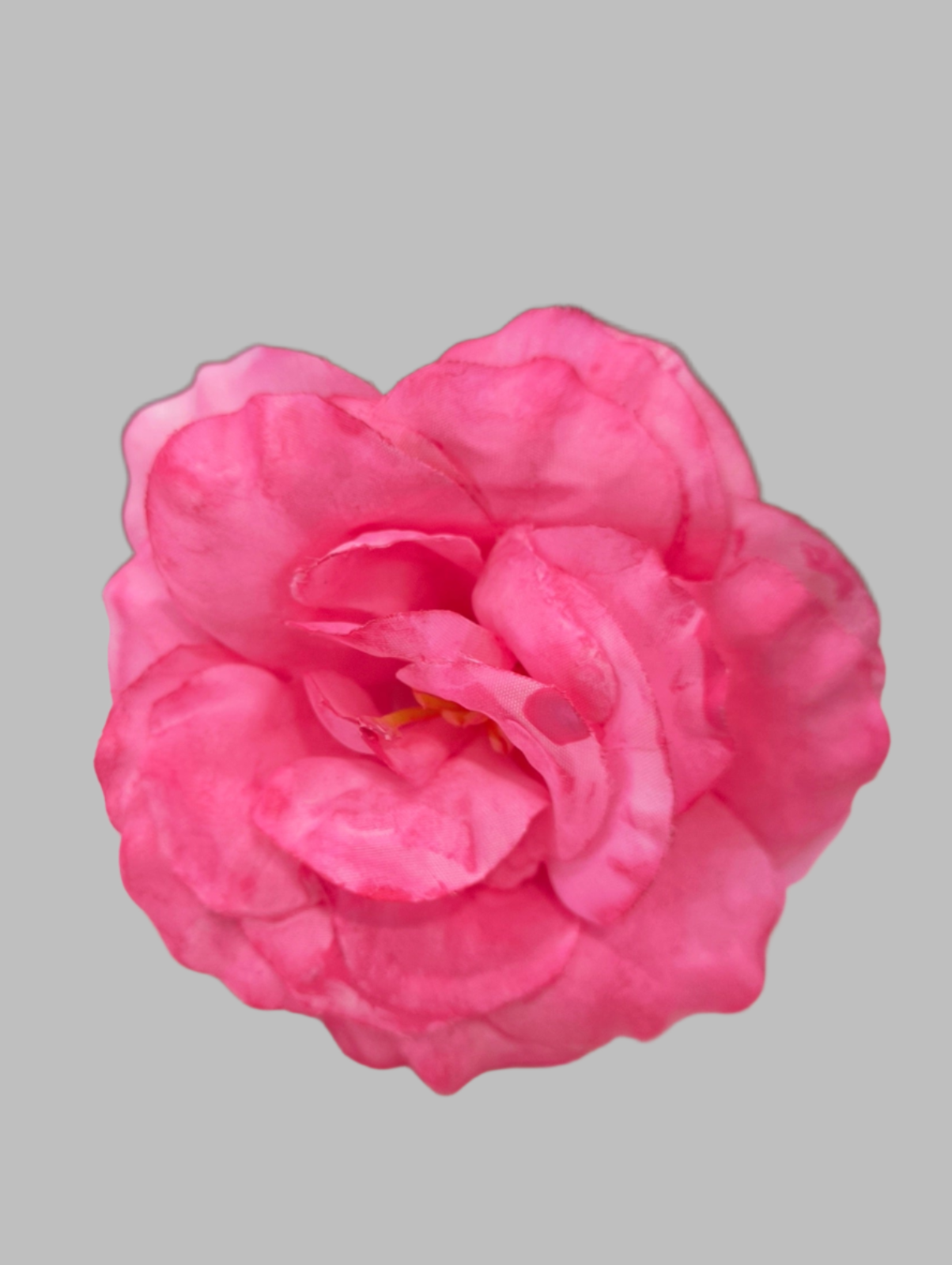 FLOR ROSA ALMERÍA PEQUEÑA