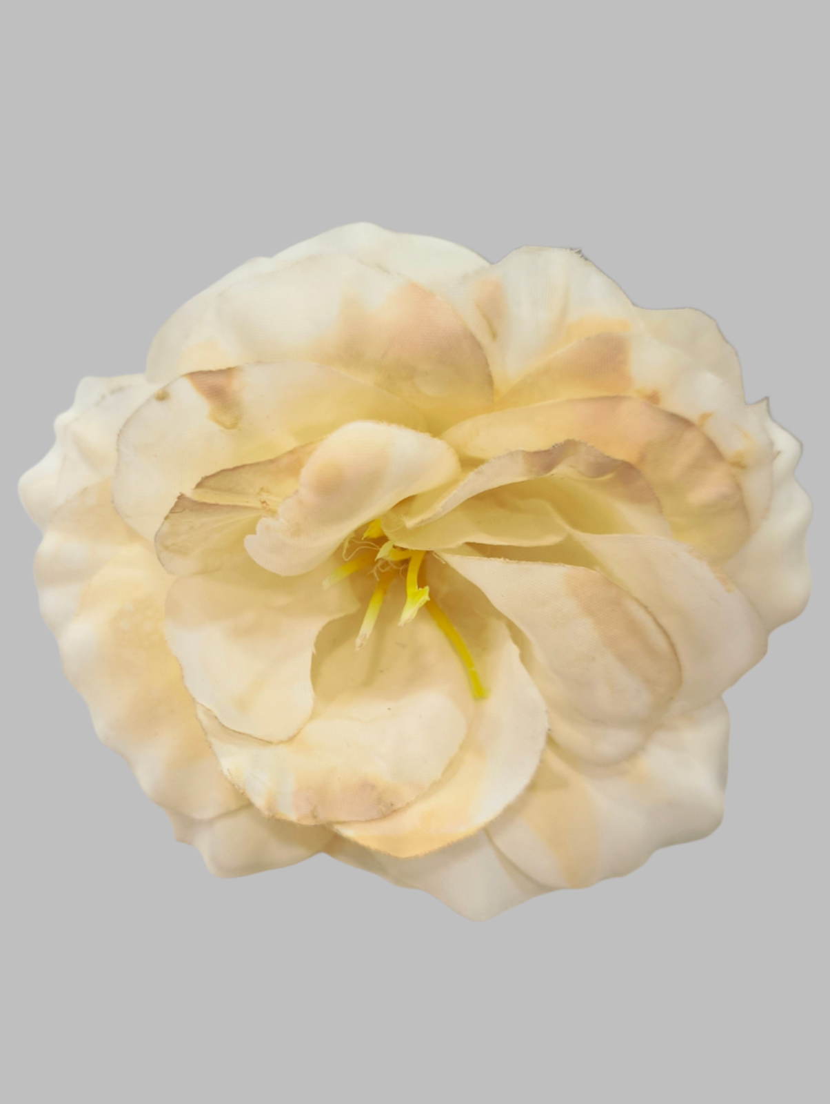 FLOR ROSA ALMERÍA PEQUEÑA