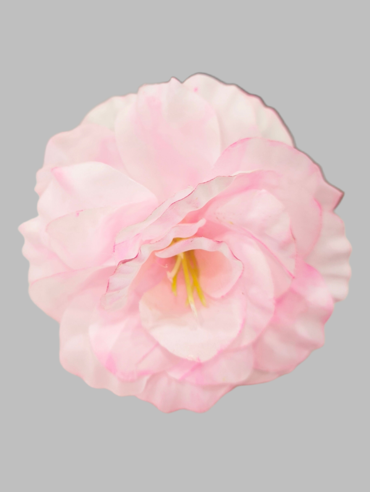 FLOR ROSA ALMERÍA PEQUEÑA