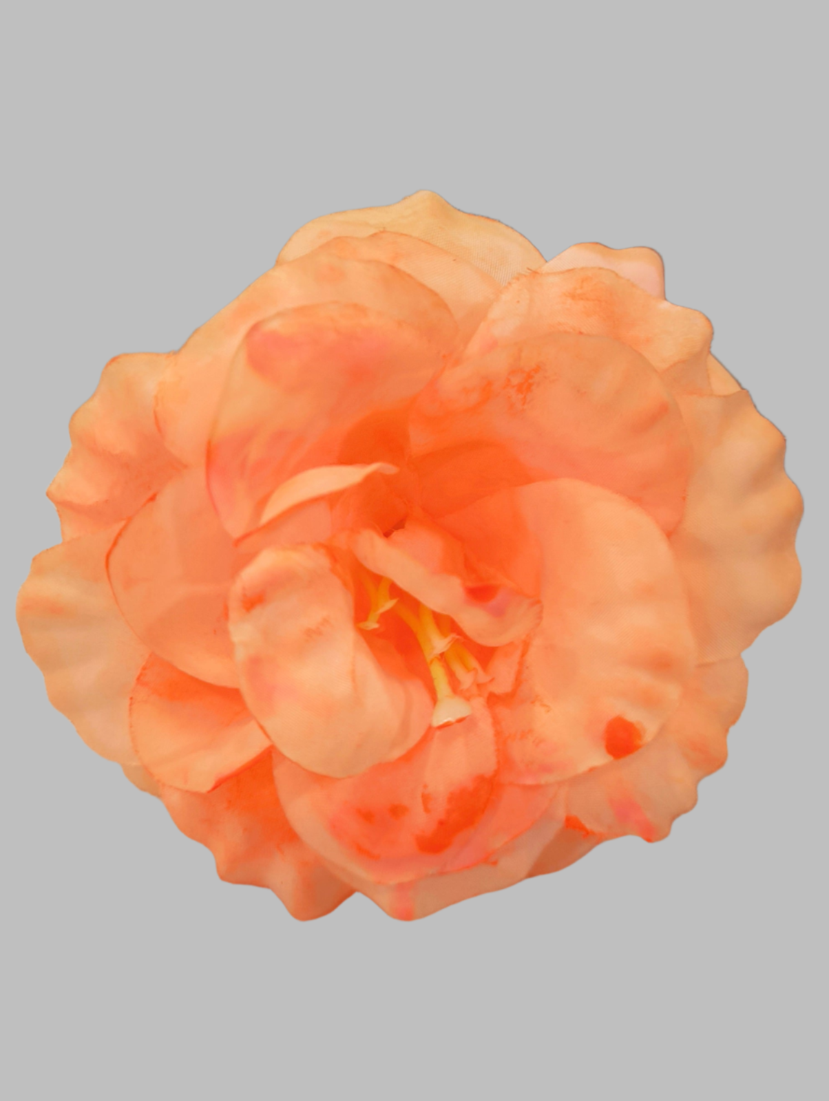 FLOR ROSA ALMERÍA PEQUEÑA