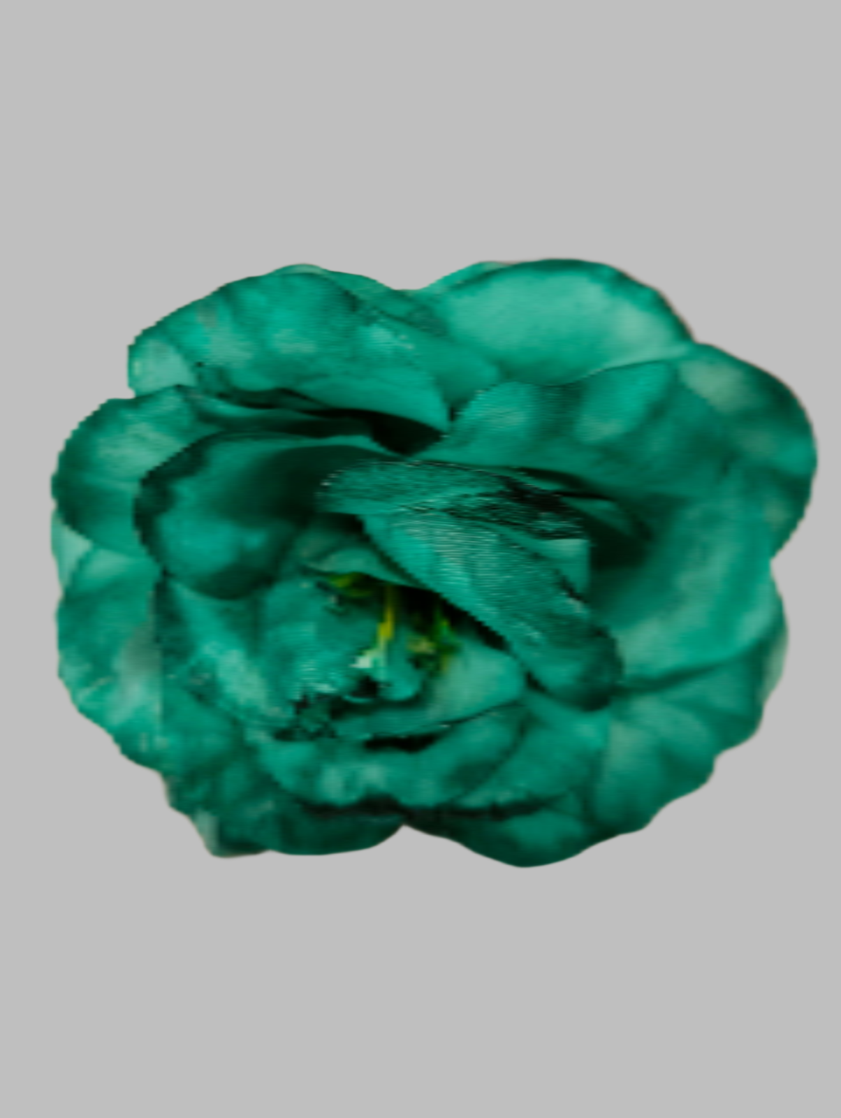 FLOR ROSA ALMERÍA PEQUEÑA