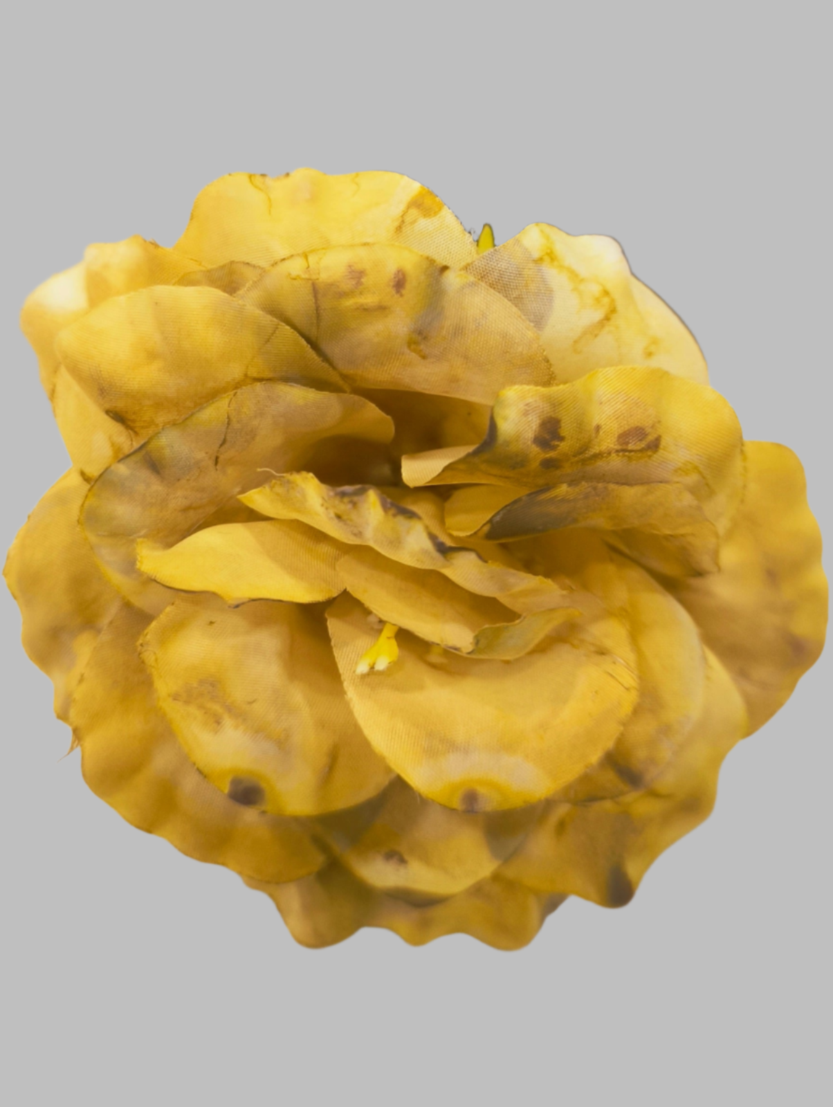 FLOR ROSA ALMERÍA PEQUEÑA