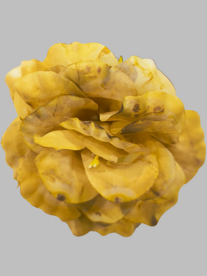 FLOR ROSA ALMERÍA PEQUEÑA