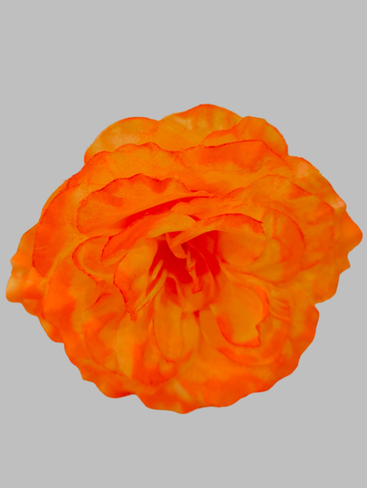 FLOR ROSA ALMERÍA PEQUEÑA