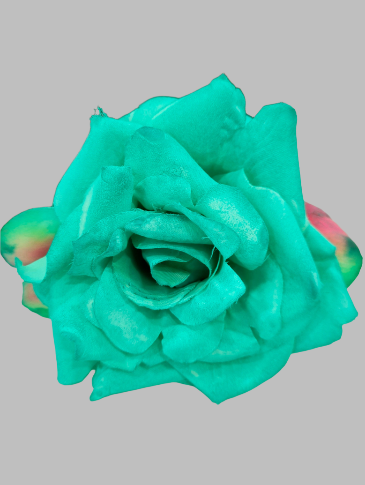 FLOR ROSA TOLEDO
