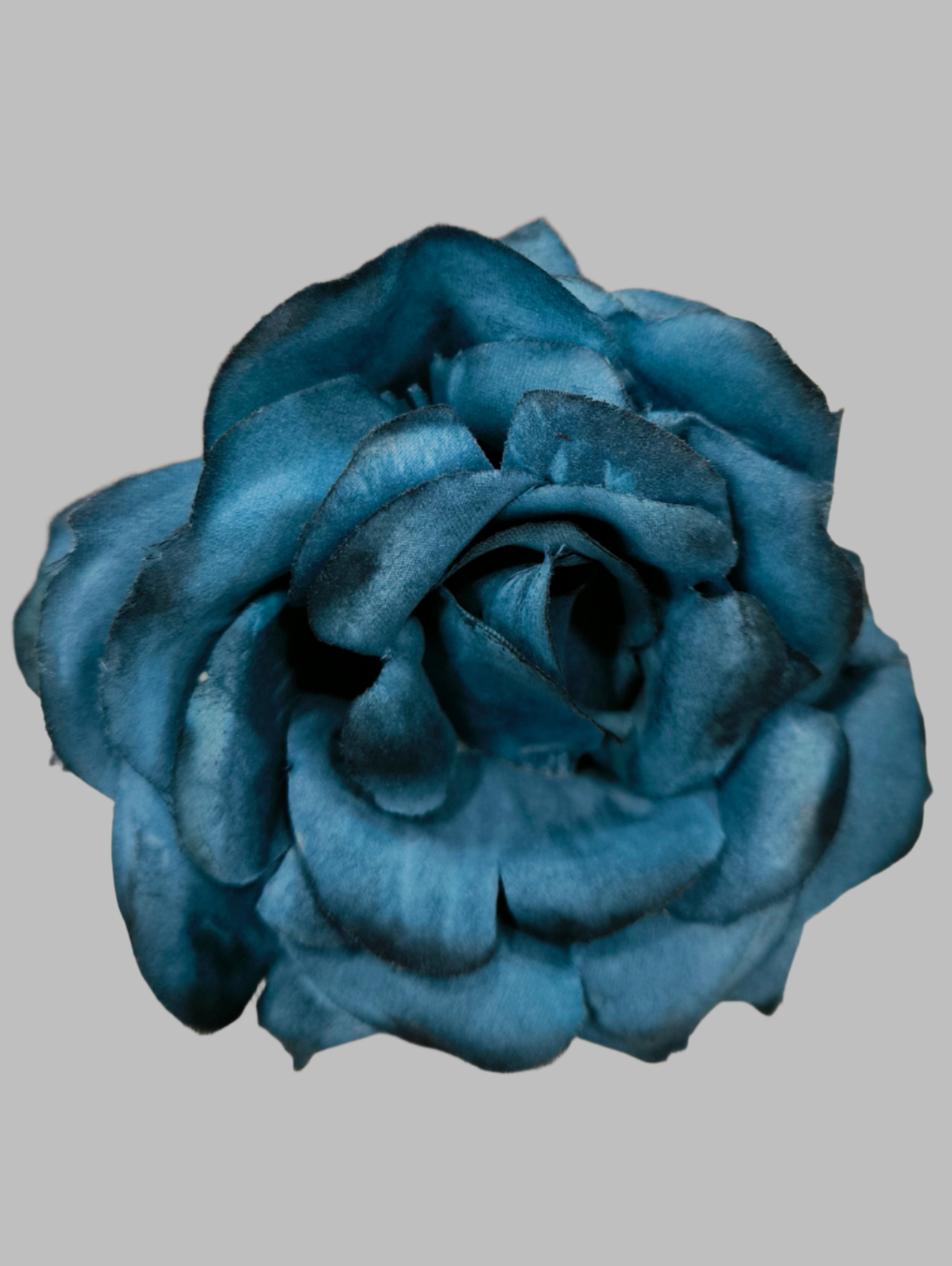 FLOR ROSA TOLEDO