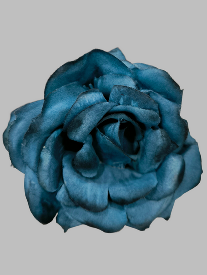 FLOR ROSA TOLEDO