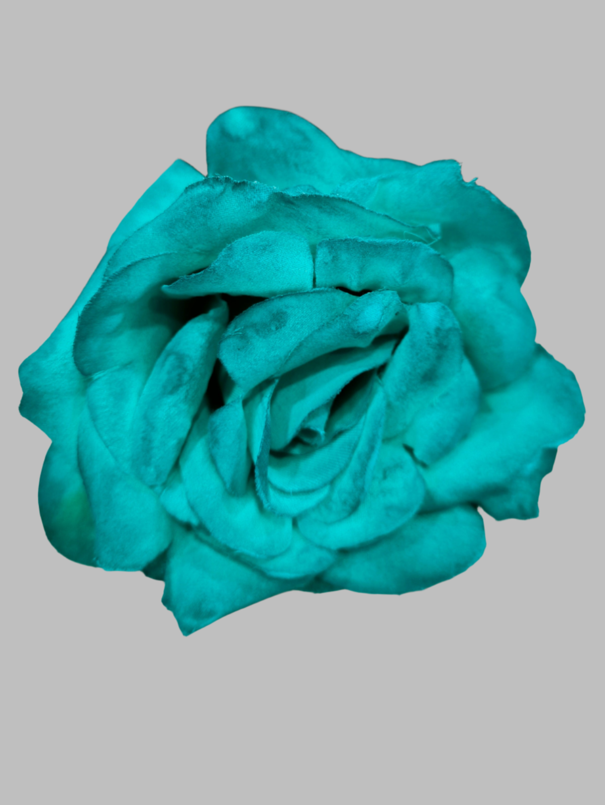 FLOR ROSA TOLEDO