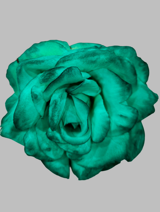 FLOR ROSA TOLEDO