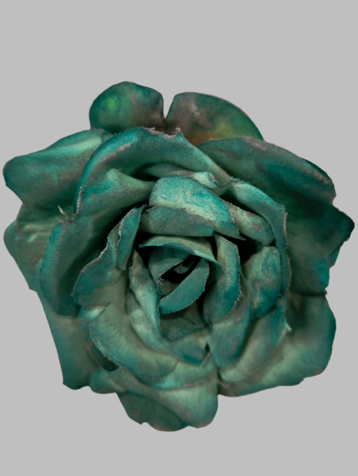 FLOR ROSA TOLEDO