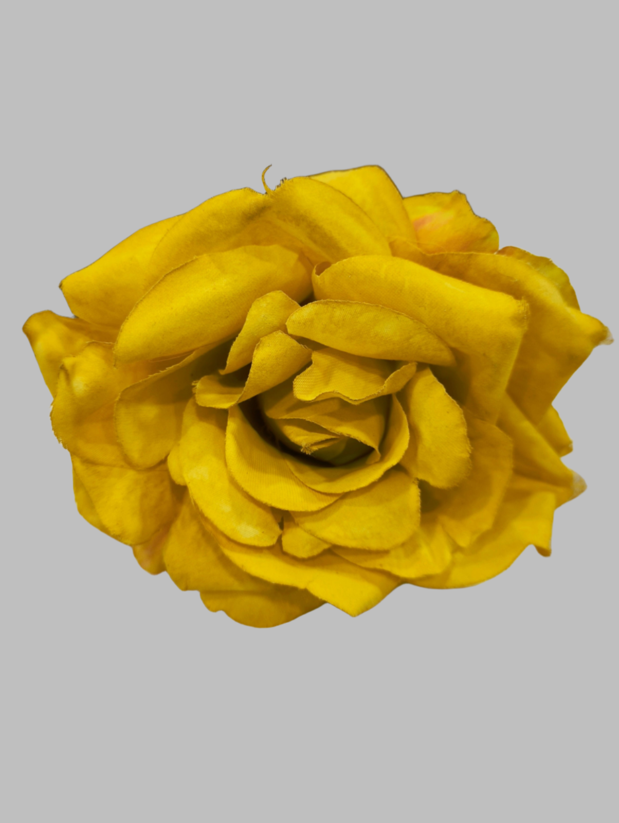 FLOR ROSA TOLEDO