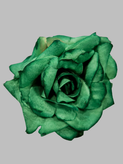 FLOR ROSA TOLEDO