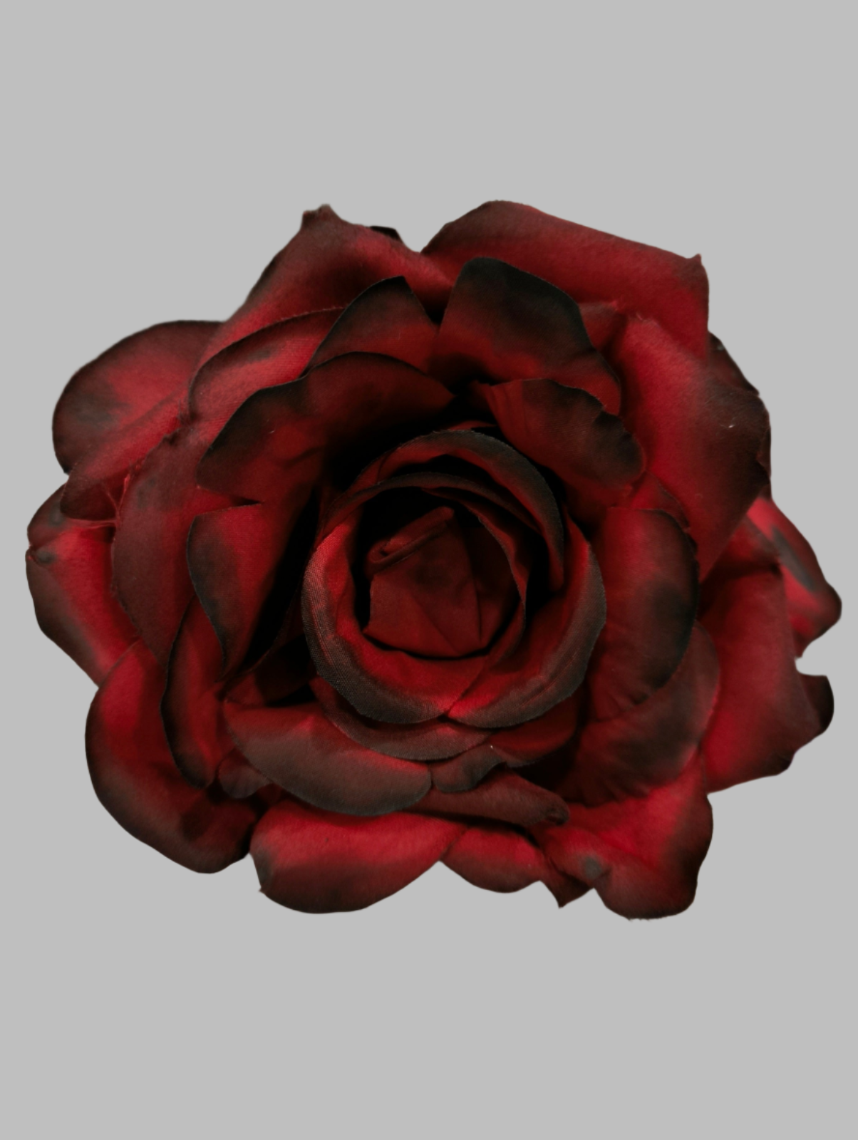 FLOR ROSA TOLEDO