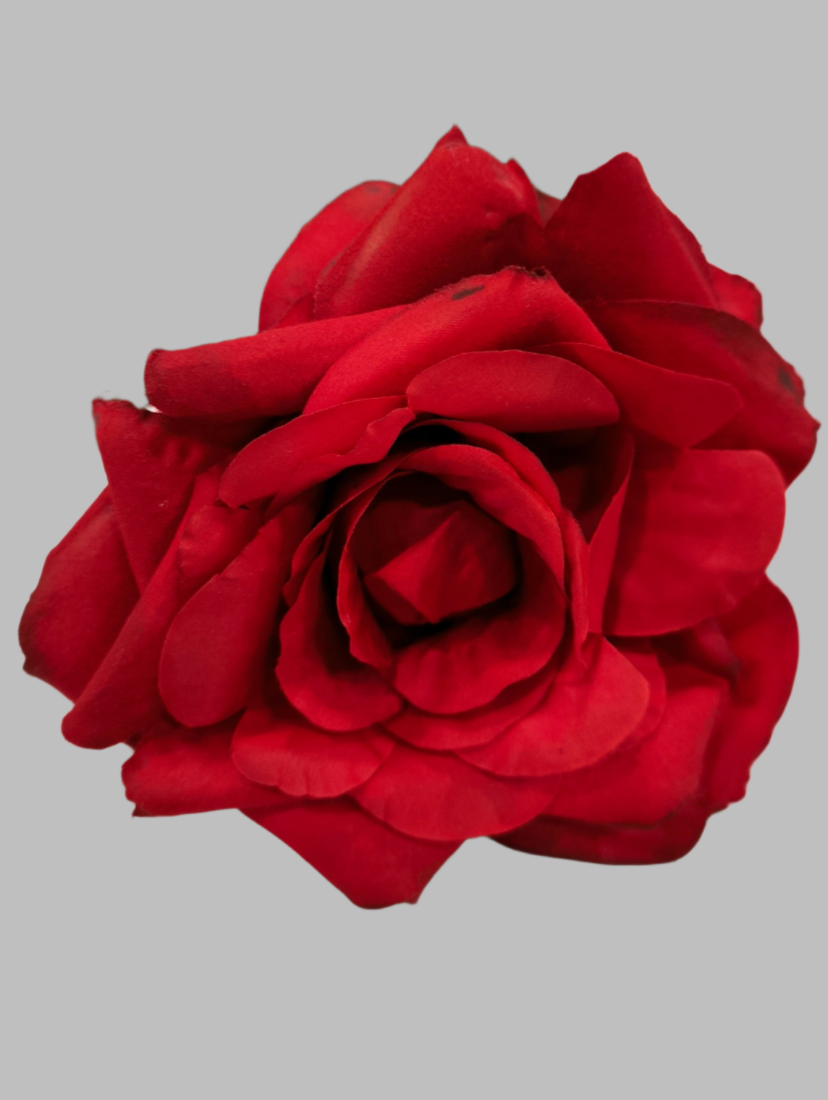 FLOR ROSA TOLEDO