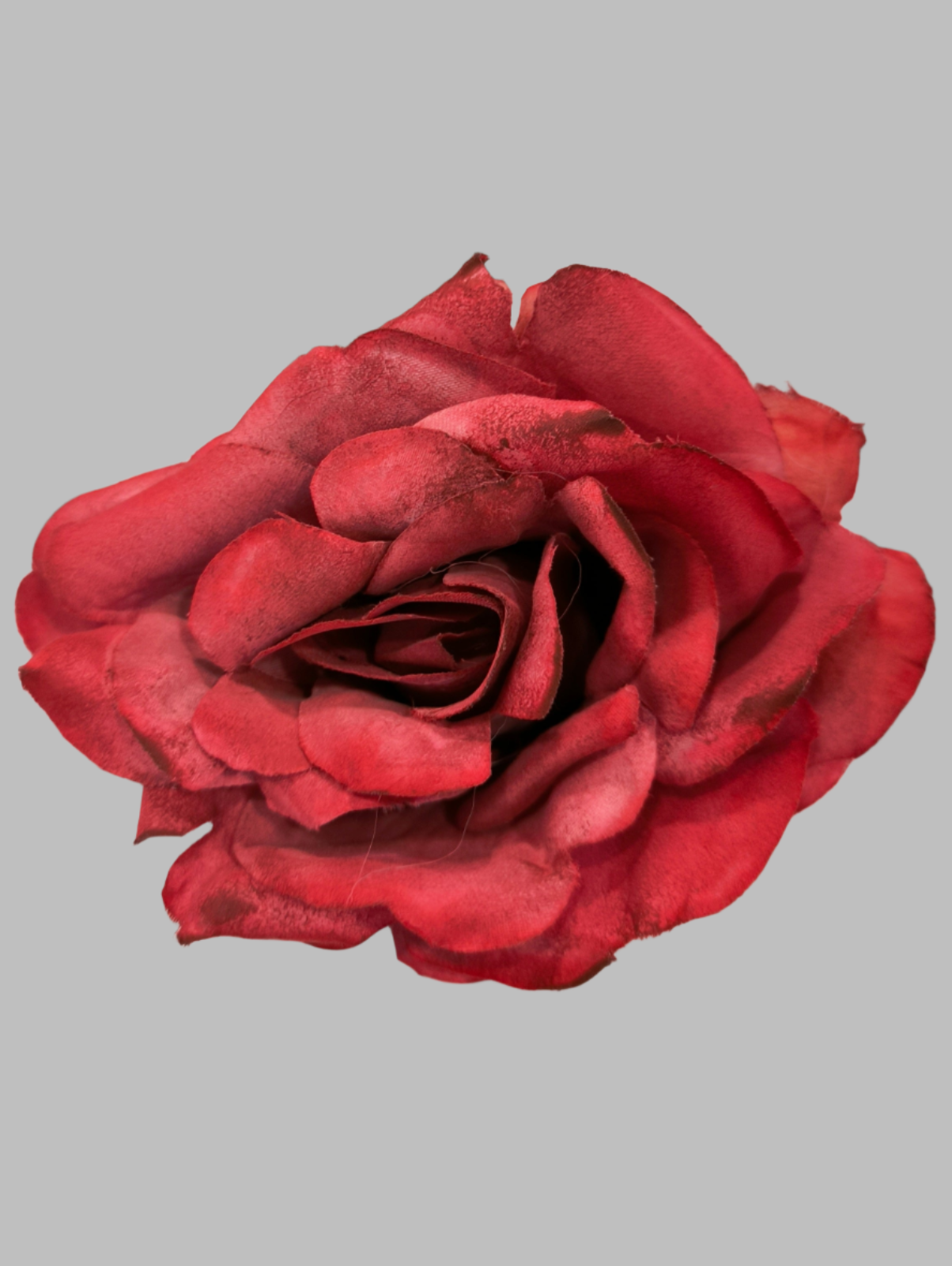 FLOR ROSA TOLEDO