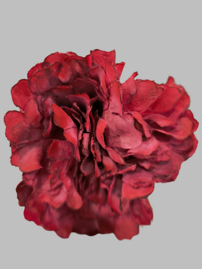FLOR CLAVEL JAÉN