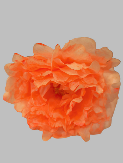 FLOR PEONÍA FAIR