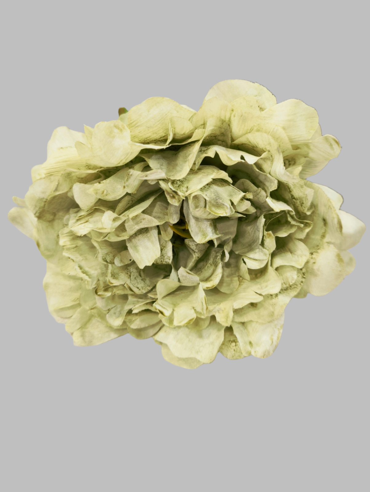 FLOR PEONÍA FAIR
