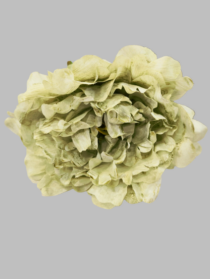 FLOR PEONÍA FAIR